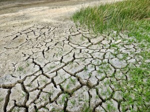 Catastrophe naturelle « Sécheresse » 2026